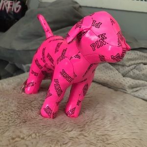 neon pink VS PINK mini dog